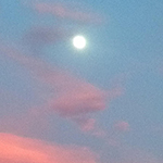 Sunset Moon